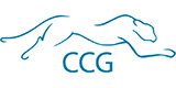 CCG DE Gmbh